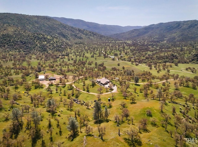birds eye view of property featuring a mountain view