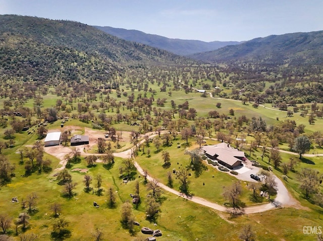 aerial view with a mountain view