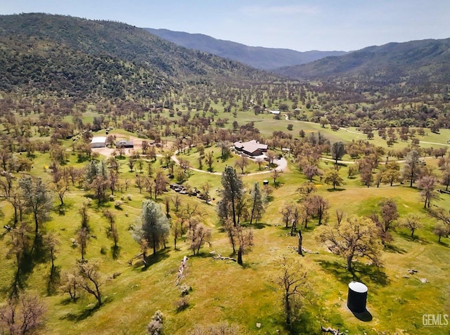 birds eye view of property with a mountain view