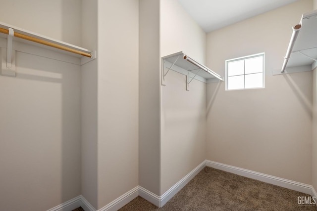 14822 Plumeria Ct, Bakersfield, CA 93314 - spacious closet with carpet