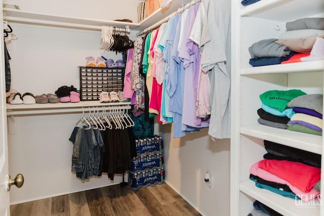 7116 Jolynn St, Bakersfield, CA 93308 - spacious closet with wood finished floors