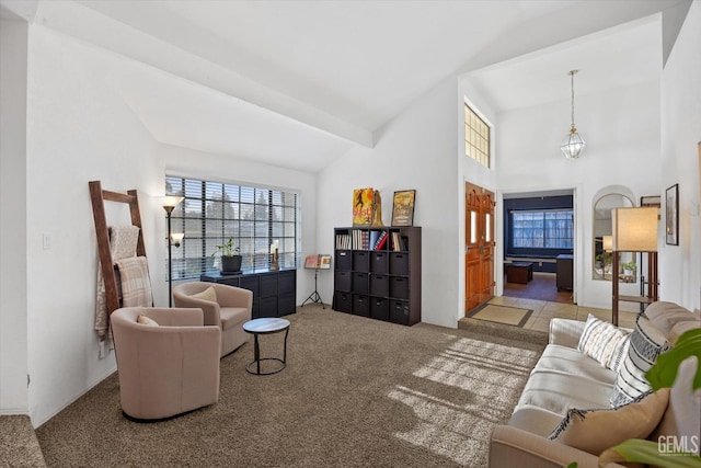 carpeted living room with high vaulted ceiling