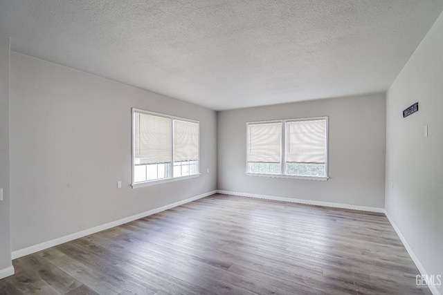 spare room featuring baseboards, wood finished floors, a textured ceiling, and a healthy amount of sunlight