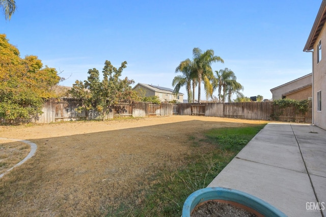 view of yard featuring a patio