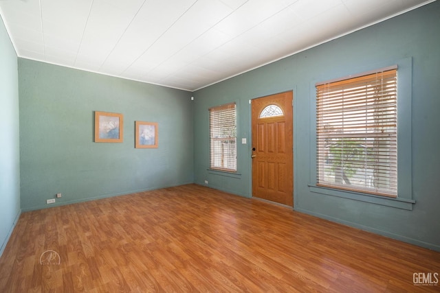 entrance foyer featuring wood finished floors