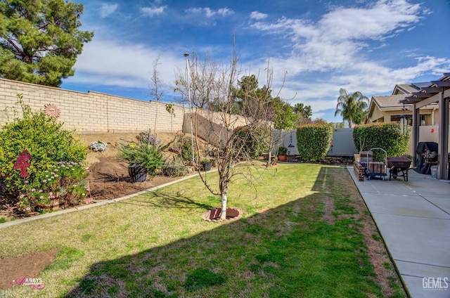 view of yard with a patio, a fenced backyard, and a pergola