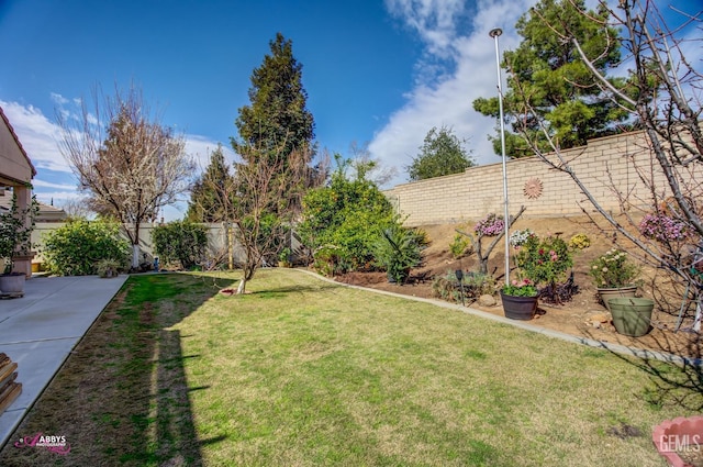 view of yard featuring a patio area and a fenced backyard