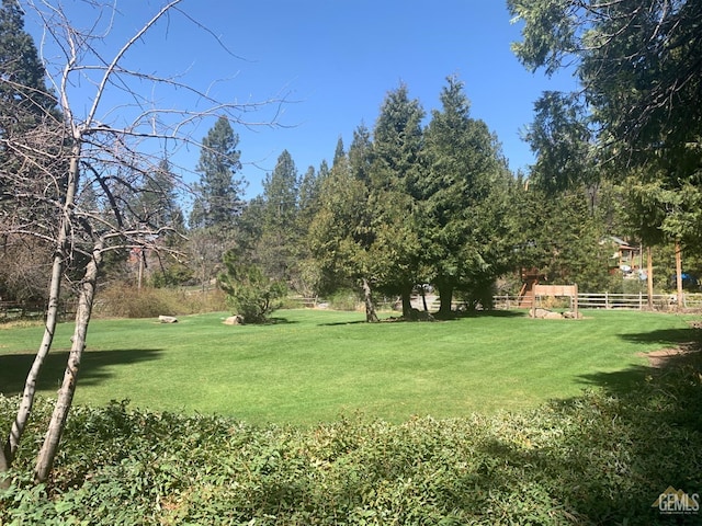 45864 Upndown Rd, Posey, CA 93260 - view of yard