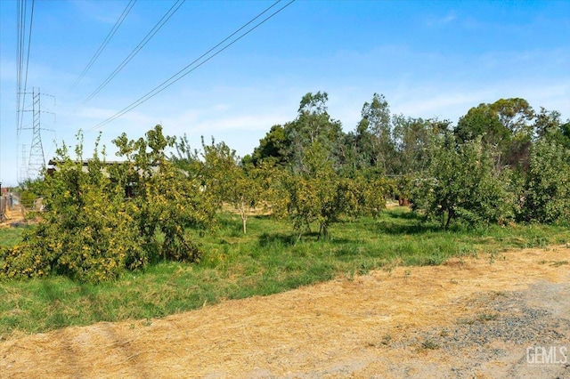 22940 Fast Ct, Bakersfield, CA 93314 - view of local wilderness