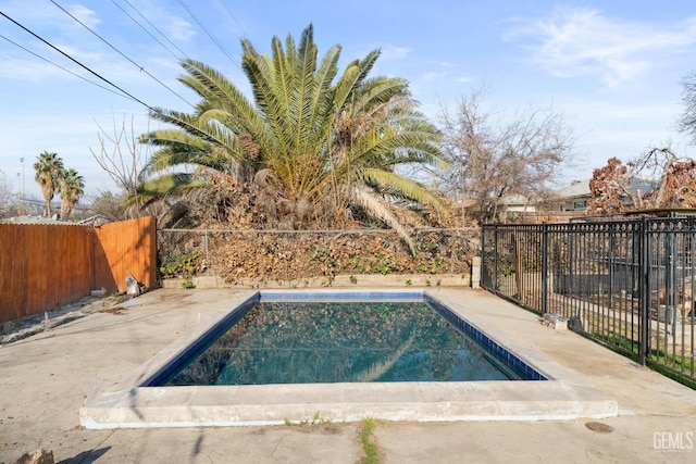 view of swimming pool