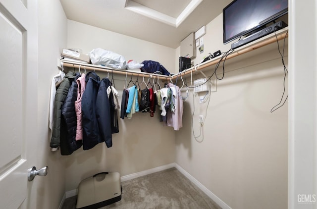 7215 Pine Flat Dr, Bakersfield, CA 93311 - spacious closet with carpet