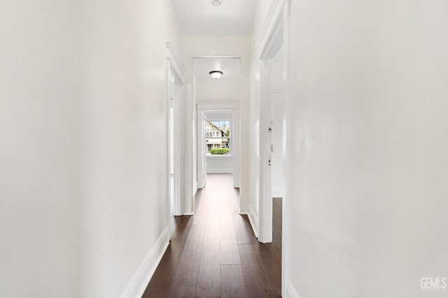 1940 S La Salle Ave, Los Angeles, CA 90018 - corridor with dark wood finished floors and baseboards