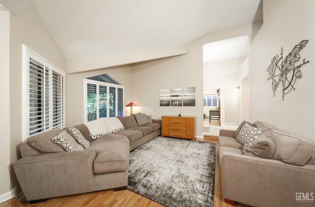 7305 Wilford Ct, Bakersfield, CA 93309 - living room featuring light wood finished floors and high vaulted ceiling