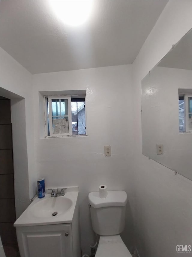 bathroom with toilet and vanity