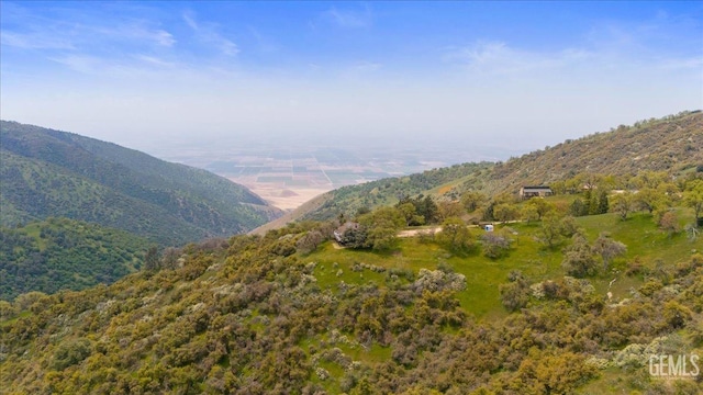 view of mountain feature