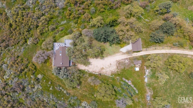 drone / aerial view