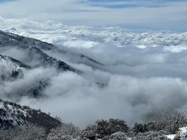 mountain view