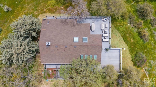 bird's eye view