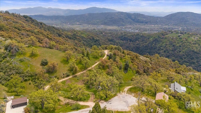birds eye view of property featuring a mountain view and a forest view