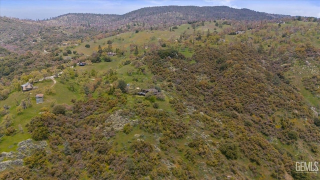 birds eye view of property with a mountain view and a wooded view