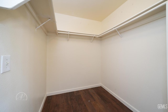 spacious closet featuring dark wood-type flooring