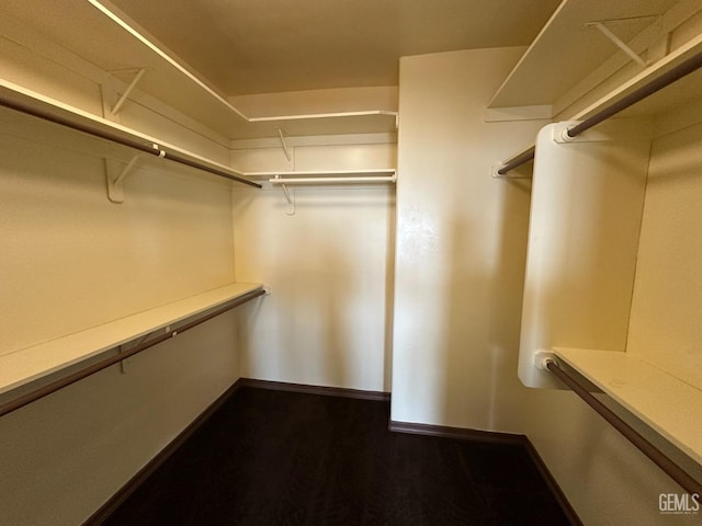 walk in closet with wood finished floors