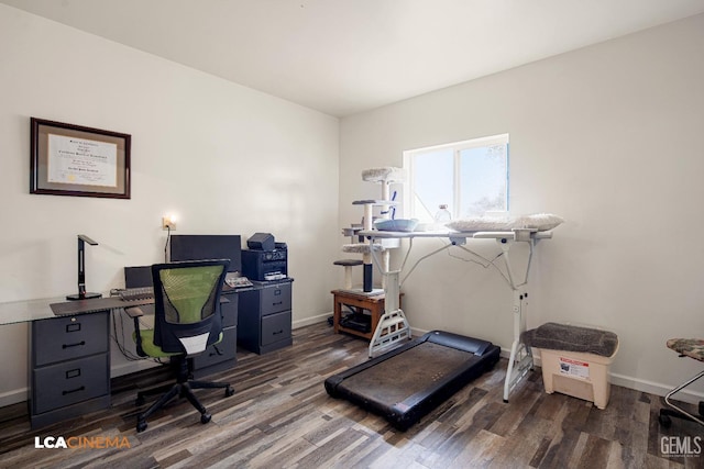 home office featuring dark wood-type flooring