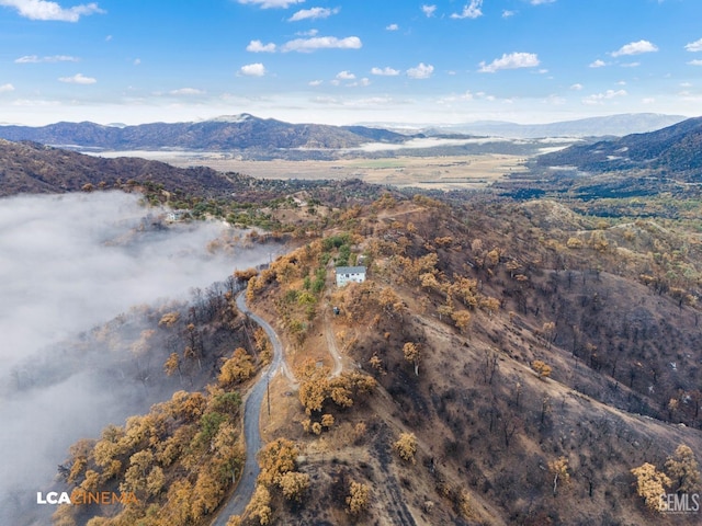 birds eye view of property featuring a mountain view