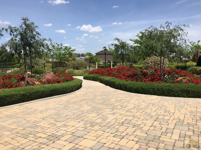 view of home's community featuring a gazebo