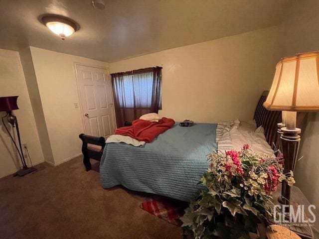 bedroom with carpet