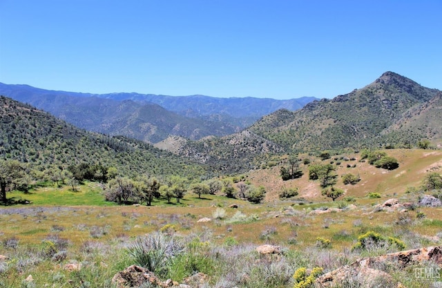 0 High Ridge Rd, Caliente CA, 93518 land for sale