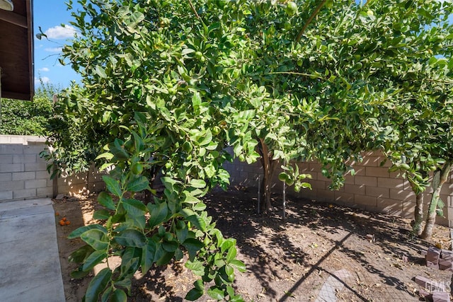 764 E Sutter Ave, Earlimart, CA 93219 - view of fenced backyard