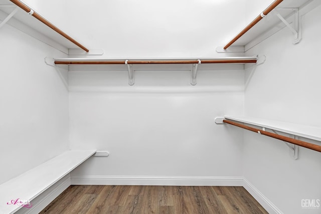 10102 Lace Cascade Ct, Bakersfield, CA 93311 - walk in closet with dark wood-type flooring