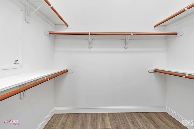 10102 Lace Cascade Ct, Bakersfield, CA 93311 - spacious closet with wood finished floors