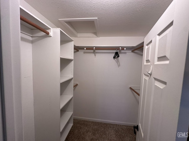 4049 Liz Dr, Bakersfield, CA 93312 - spacious closet featuring carpet floors and attic access