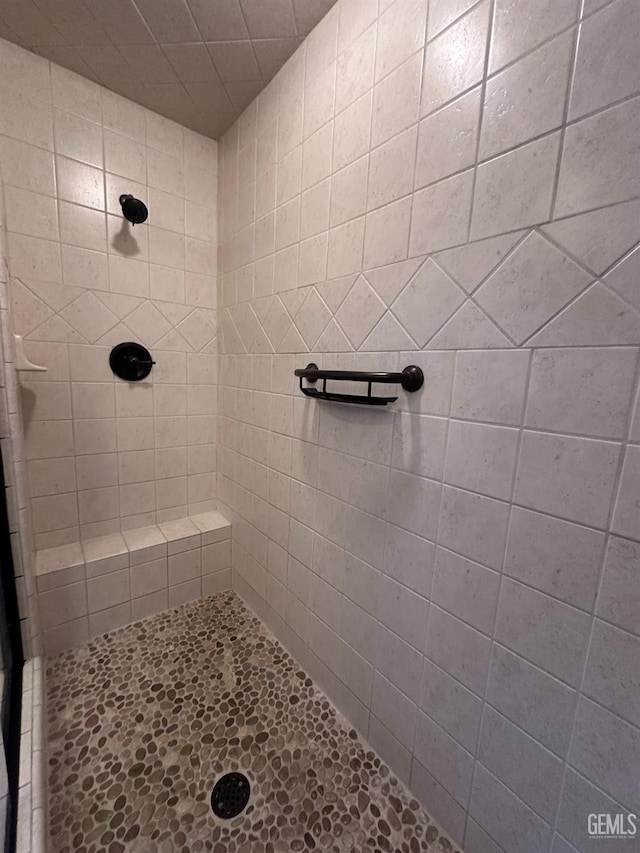 4049 Liz Dr, Bakersfield, CA 93312 - full bathroom with a tile shower