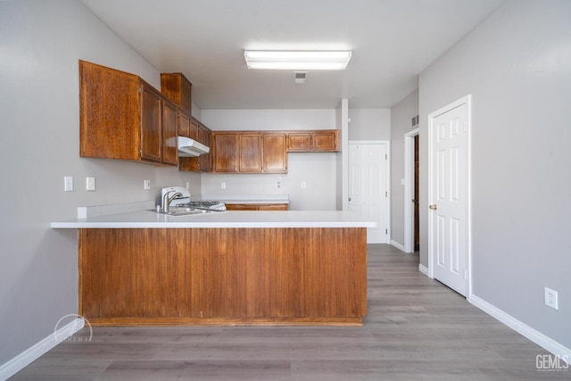 kitchen featuring kitchen peninsula, light hardwood / wood-style floors, and sink