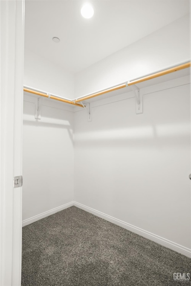 spacious closet with carpet floors