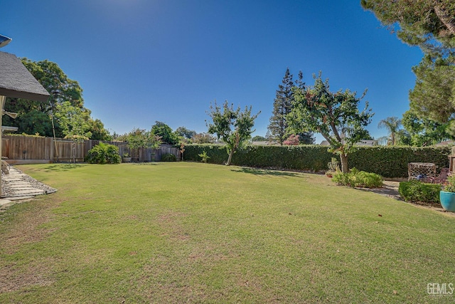 9604 Lea Oak Rd, Bakersfield, CA 93311 - view of fenced backyard