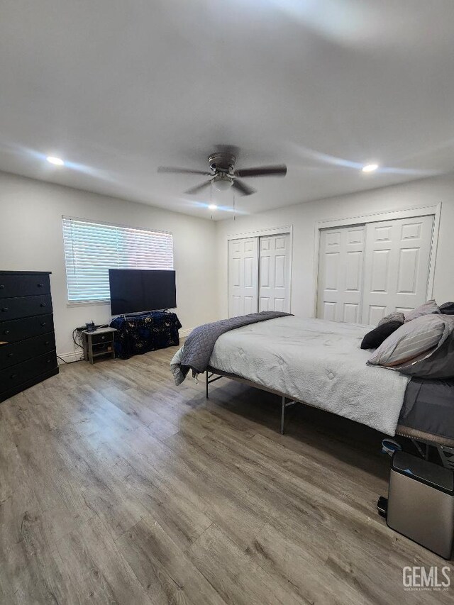 5812 Appletree Ln, Bakersfield, CA 93309 - bedroom with two closets, wood finished floors, ceiling fan, and recessed lighting