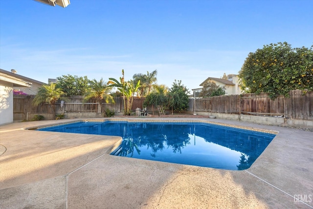 view of pool featuring a patio