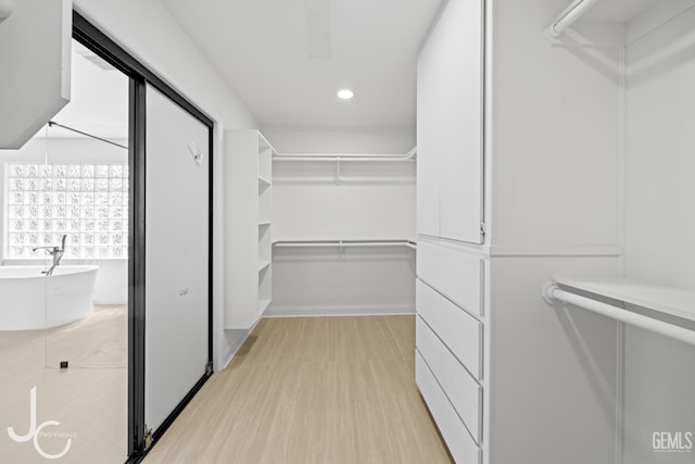 11009 Bright Water Way, Bakersfield, CA 93311 - spacious closet with light wood-style flooring