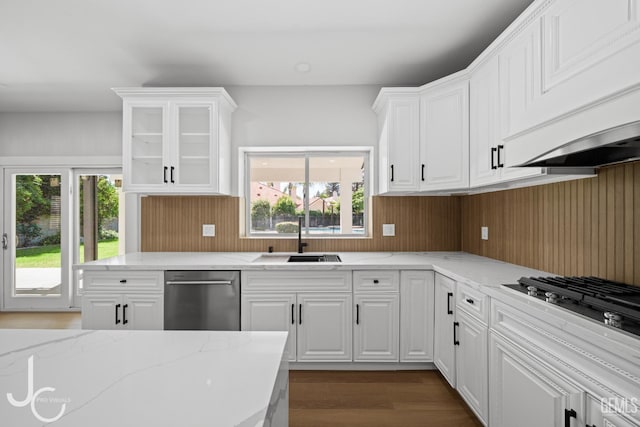 11009 Bright Water Way, Bakersfield, CA 93311 - kitchen with dishwasher, a sink, premium range hood, white cabinetry, and wood walls