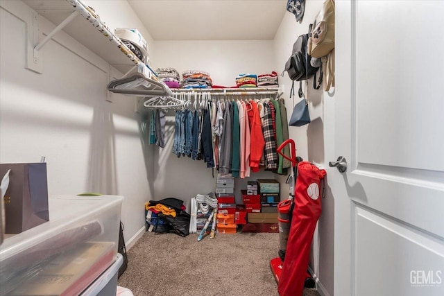 spacious closet with carpet flooring