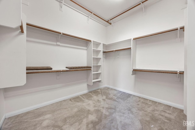 walk in closet featuring light colored carpet