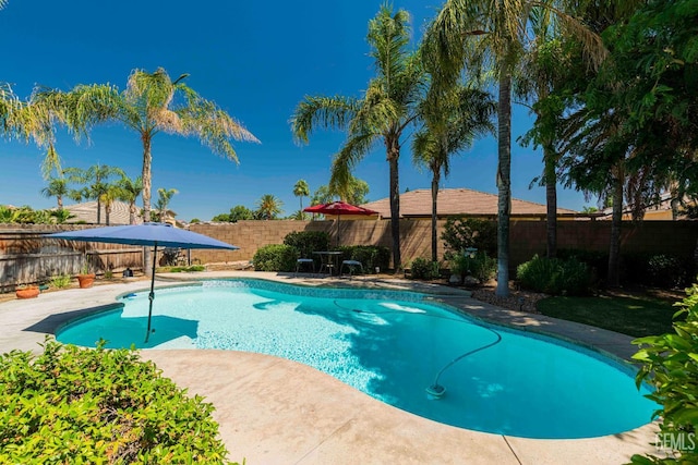 10726 Beaver Creek Dr, Bakersfield, CA 93312 - photo 34