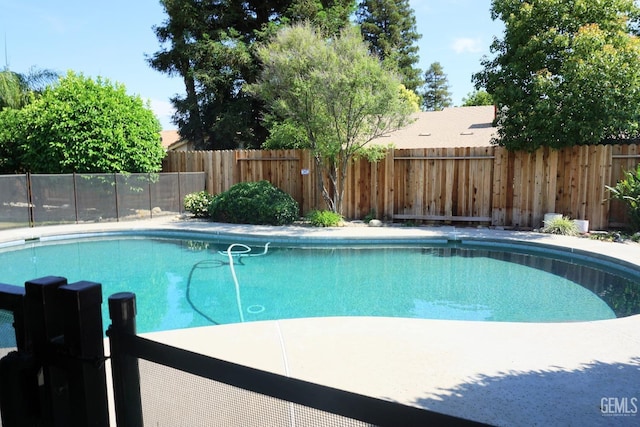 view of pool featuring a fenced in pool and a fenced backyard