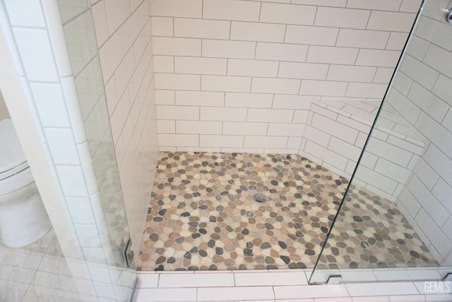 full bathroom featuring a shower stall and toilet