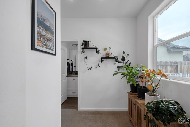hall featuring baseboards and carpet