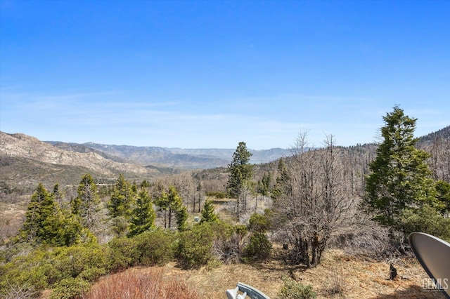mountain view featuring a forest view